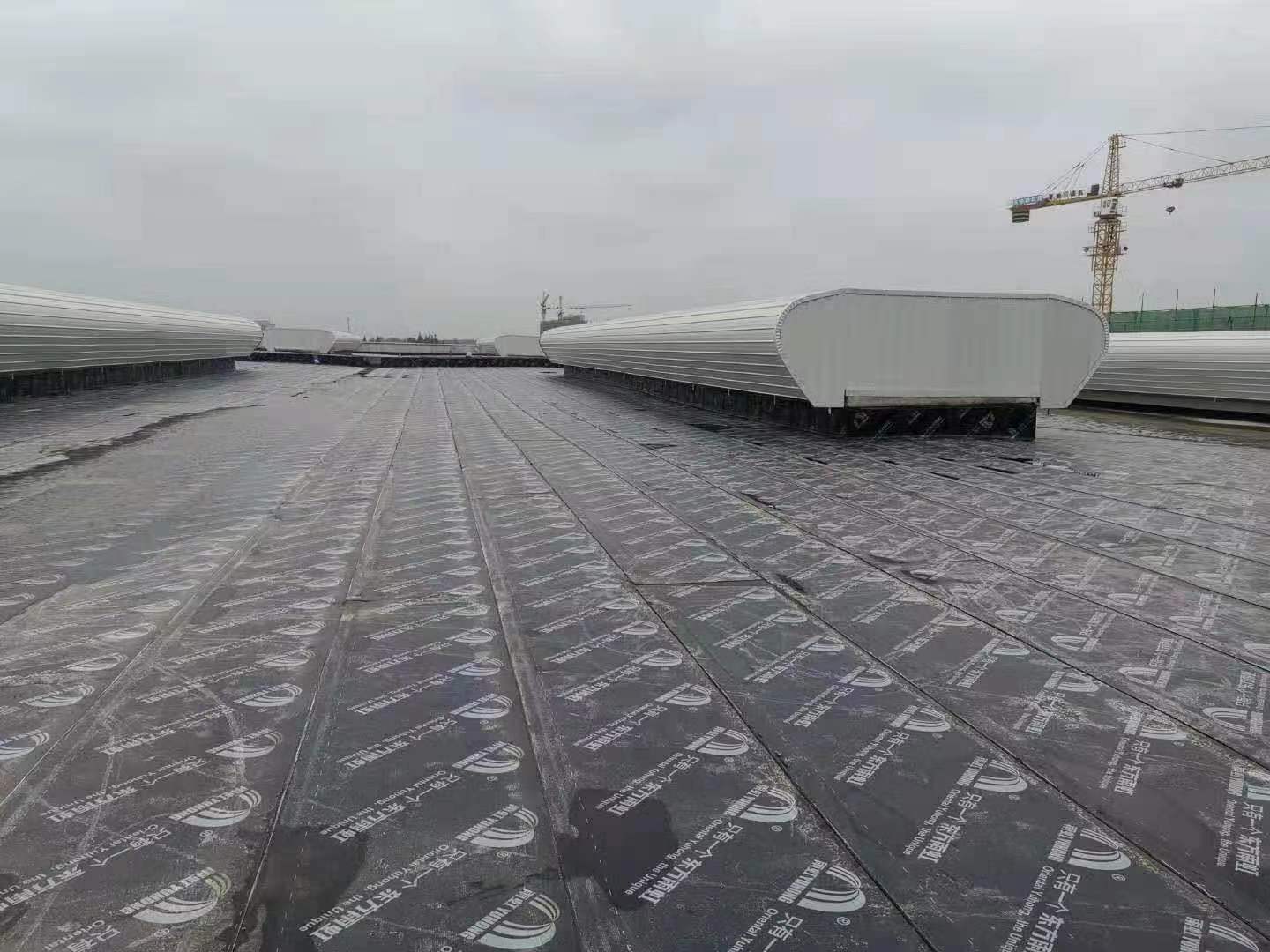 屋顶防水 (12)